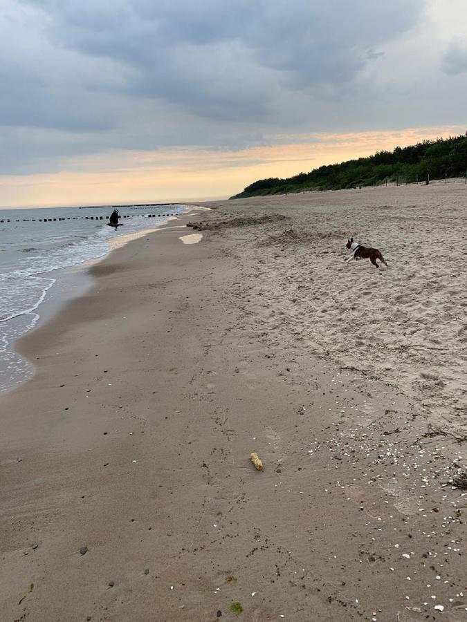 Apartament Ive'S Gardenia Seaside Dziwnów Zewnętrze zdjęcie
