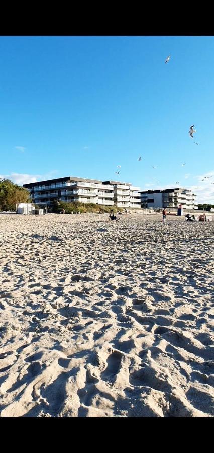 Apartament Ive'S Gardenia Seaside Dziwnów Zewnętrze zdjęcie